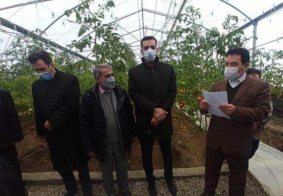 بهره برداری از یک واحد گلخانه سبزی و صیفی در روستای ایگدلوی بزرگ شهرستان ملکان