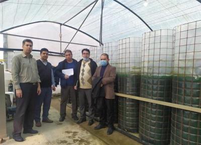 اولین مزرعه پیشرفته فراوری جلبک در استان آذربایجان شرقی به بهره برداری رسید
